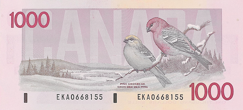 Canada, 1000 Dollars, 1988, P.100, REPLICA My Store