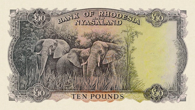 Rhodesia & Nyasaland, QEII 1956, 10 Shillings, 1, 5, 10 Pounds, P.20 - P.23, Complete Set REPLICA My Store