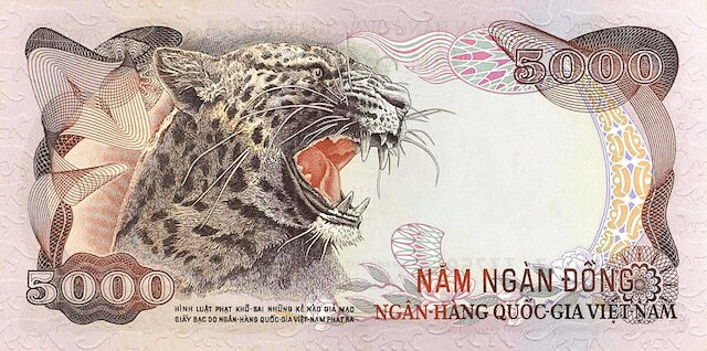 “Vintage South Vietnam collectible currency set”